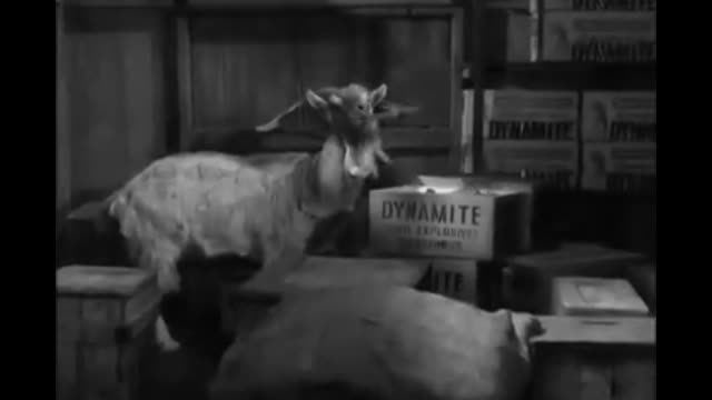 Andy Griffith - 3x18 - The Loaded Goat
