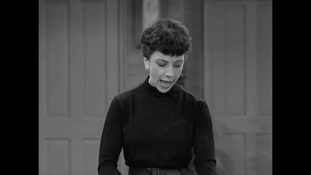 Dick Van Dyke - 2x15 - The Cat Burglar