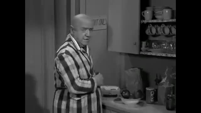 My Three Sons - 1x19 - Organization Woman