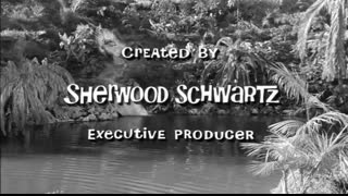 Gilligan's Island - 1x16 - Plant You Now, Dig You Later