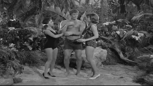 Gilligan's Island - 1x21 - Big Man On A Little Stick