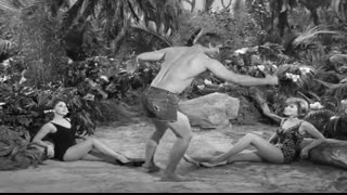 Gilligan's Island - 1x21 - Big Man On A Little Stick