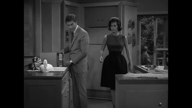The Dick Van Dyke Show - 2x1 - Never Name A Duck
