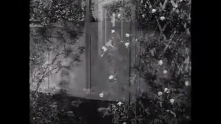 Dennis The Menace - 1x20 - Dennis And The Dog