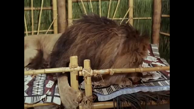 Gilligan's Island - 2x24 - Feed The Kitty