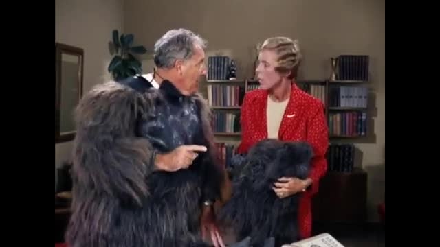 Beverly Hillbillies - 5x6 - The Gorilla