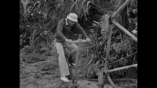 Gilligan's Island - 1x14 - Water, Water Everywhere