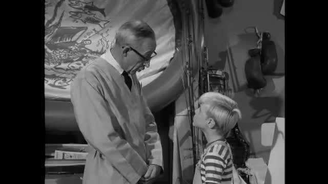 Dennis The Menace - 1x26 - Alice's Birthday