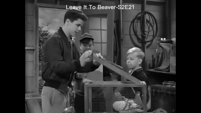 Leave It To Beaver - 2x21 - The Tooth