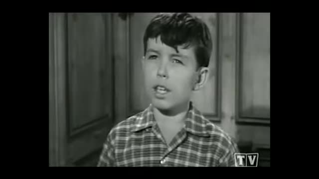 Leave It To Beaver - 3x18 - Beaver's Library Book