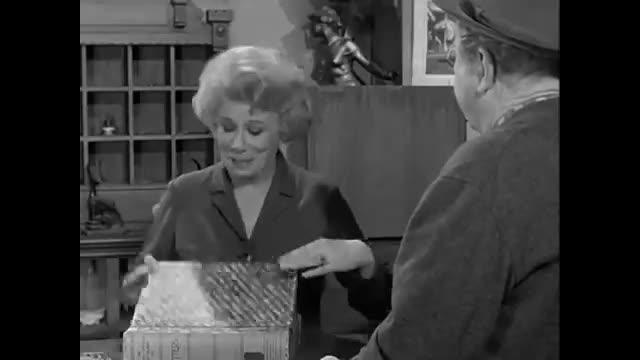 Petticoat Junction - 1x22 - The Art Game