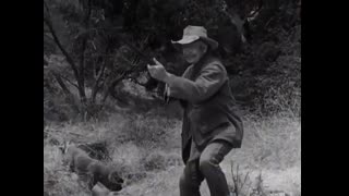 Beverly Hillbillies - 3x4 - Hedda Hopper's Hollywood