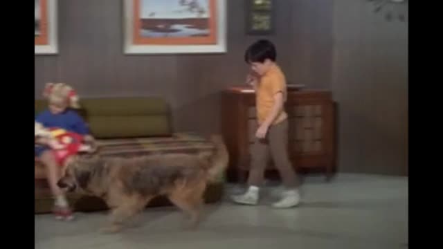 Brady Bunch - 1x7 - Kitty Karry-All Is Missing