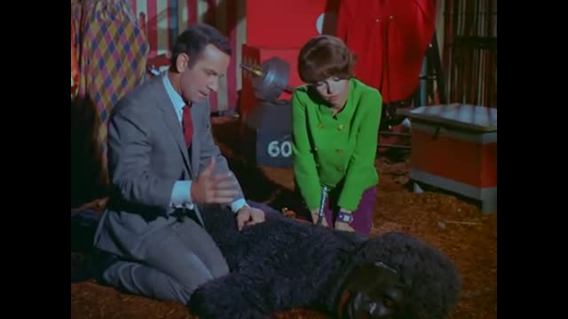 Get Smart - 2x10 - The Greatest Spy On Earth