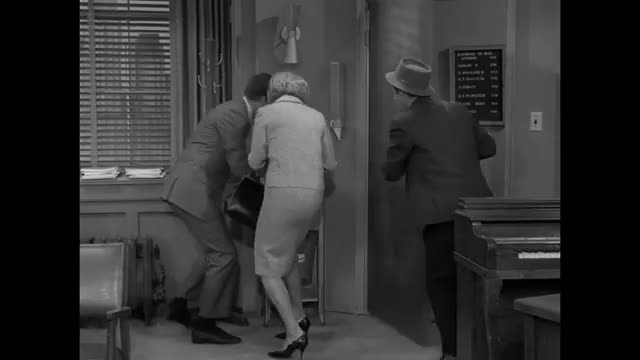 Dick Van Dyke - 5x10 - Go Tell The Birds And The Bees