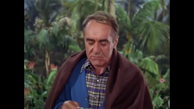 Gilligan's Island - 2x26 - Will The Real Mr. Howell Please Stand Up