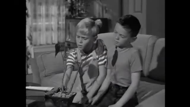 Dennis The Menace - 1x24 - Dennis' Paper Drive