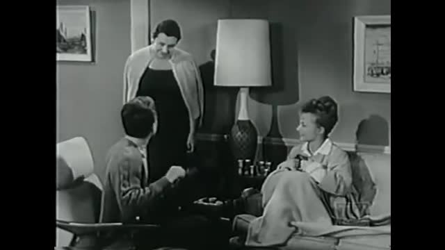 My Three Sons - 3x31 - The System