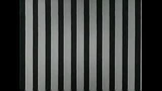 My Three Sons - 3x31 - The System