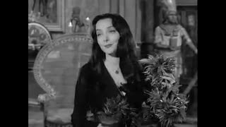 Addams Family - 1x34 - The Winning Of Morticia Addams