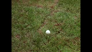 Gilligan's Island - 3x29 - Bang! Bang! Bang!