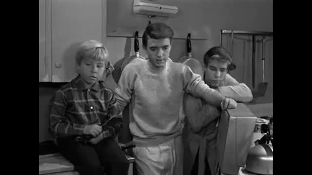 My Three Sons - 1x8 - Chip's Harvest