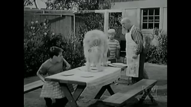 My Three Sons - 2x4 - Tramp The Hero