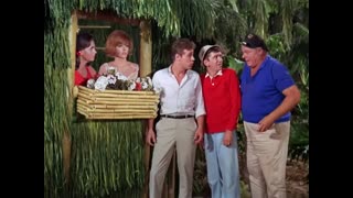 Gilligan's Island - 2x14 - Mine Hero