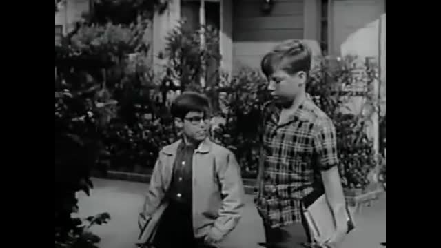 My Three Sons - 4x18 - Never Look Back