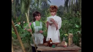 Gilligan's Island - 3x25 - The Secret Of Gilligan's Island
