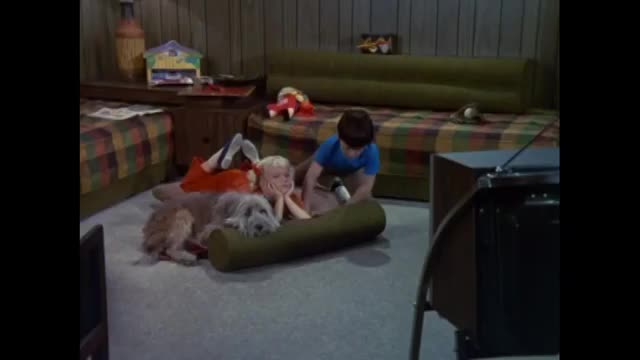 Brady Bunch - 1x11 - Vote For Brady