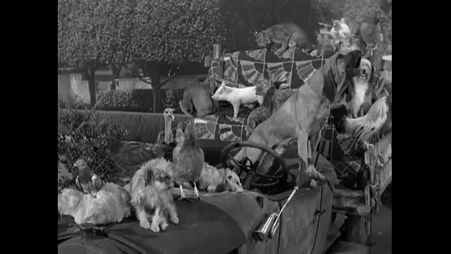 Beverly Hillbillies - 3x2 - Clampett City