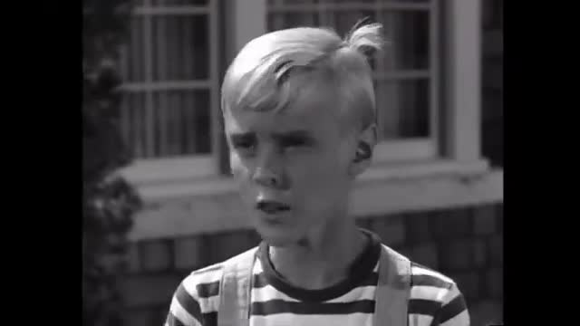 Dennis The Menace - 3x9 - Mr. Wilson's Inheritance