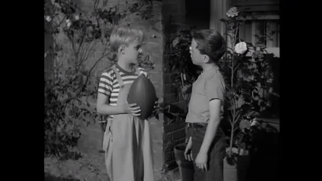 Dennis The Menace - 1x25 - Dennis And The Bees