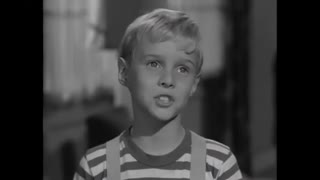 Dennis The Menace - 1x25 - Dennis And The Bees