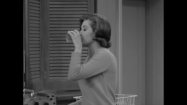 Dick Van Dyke - 2x20 - It May Look Like A Walnut