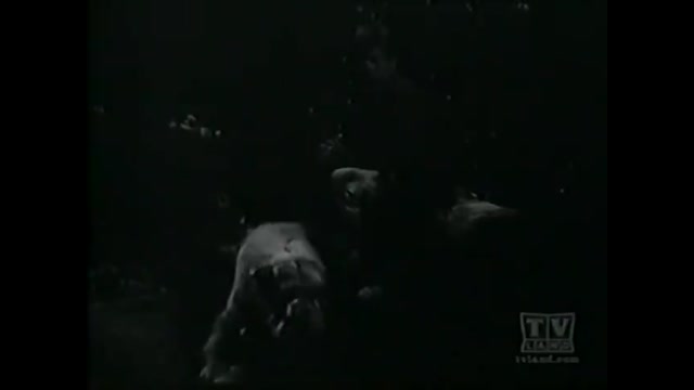 My Three Sons - 4x7 - My Friend Ernie