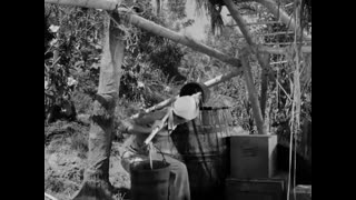 Gilligan's Island - 1x2 - Home Sweet Hut