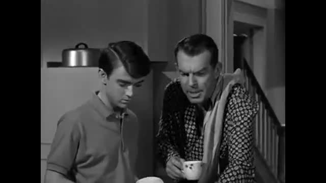 My Three Sons - 1x15 - Domestic Trouble