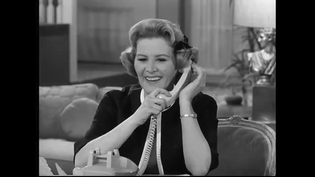 The Dick Van Dyke Show - 1x25 - Where You Been, Fassbinder