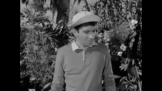 Gilligan's Island - 1x1 - Two On A Raft