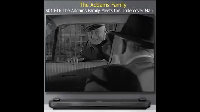 Addams Family - 1x16 - The Addams Family Meets The Undercover Man