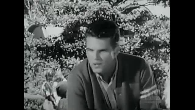 My Three Sons - 3x12 - The Beauty Contest