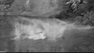 Gilligan's Island - 1x23 - How To Be A Hero