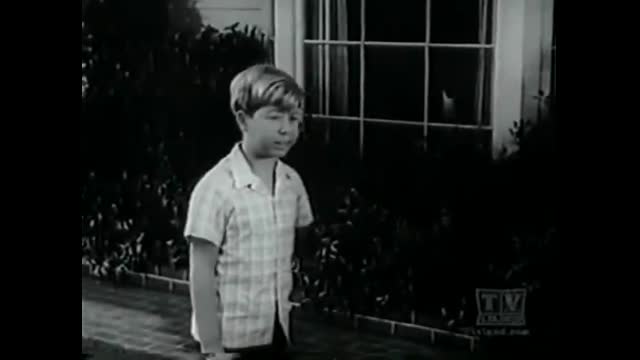 My Three Sons - 3x35 - Chip's World