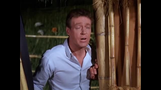 Gilligan's Island - 2x28 - Allergy Time