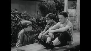 My Three Sons - 4x15 - Top Secret