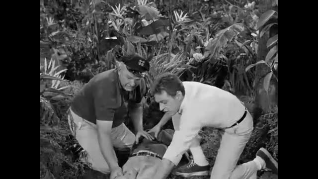 Gilligan's Island - 1x36 - A Nose By Any Other Name