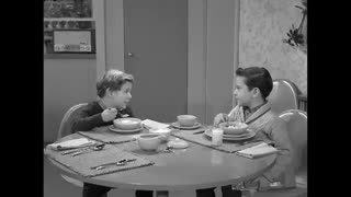The Dick Van Dyke Show - 1x17 - Punch Thy Neighbor