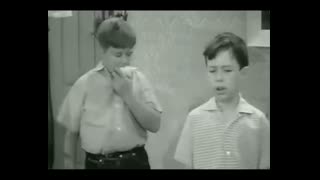 Leave It To Beaver - 3x15 - Larry Hides Out